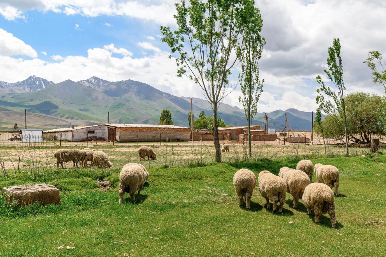 Jaichy Yurt Camp Otel Kek-Say Dış mekan fotoğraf